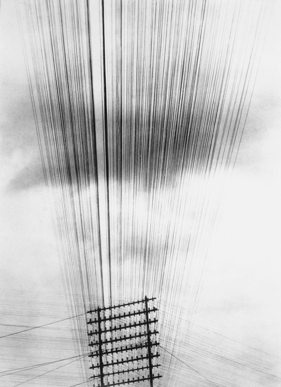 Telephone Wires, Mexico, 1925 av Tina Modotti