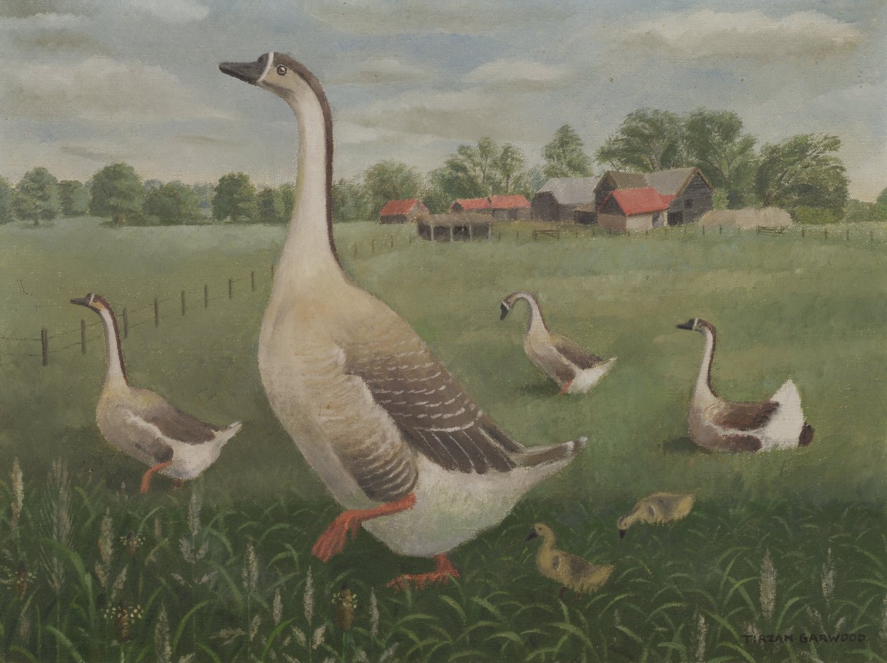 Visne vil du vandre? av Tirzah Ravilious