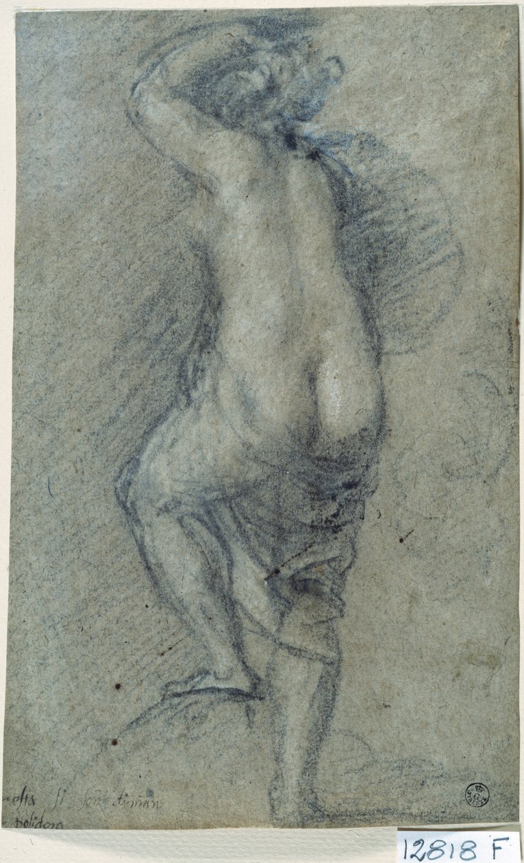 Naken kvinne (kritt på papir) av Titian (c.1488 1576)