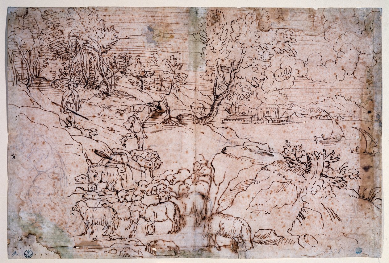 Studie av landskap med sau av Titian (c.1488 1576)