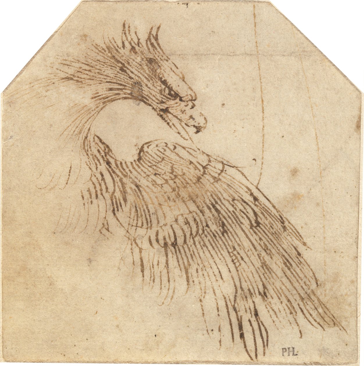 En ørn av Titian