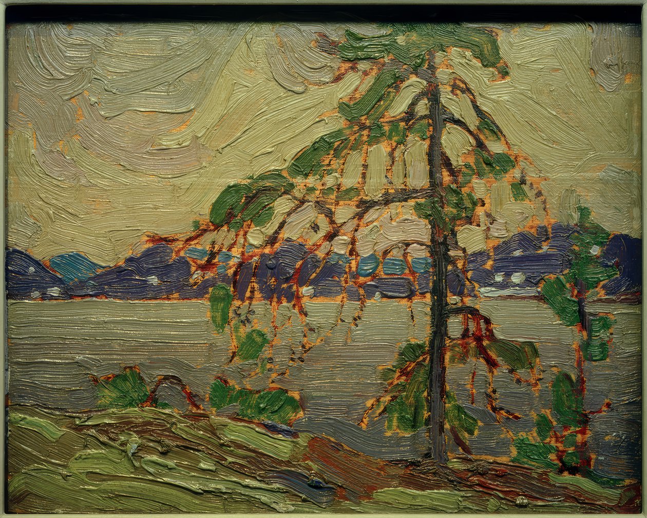 The Jack Pine (skisse) av Tom Thomson