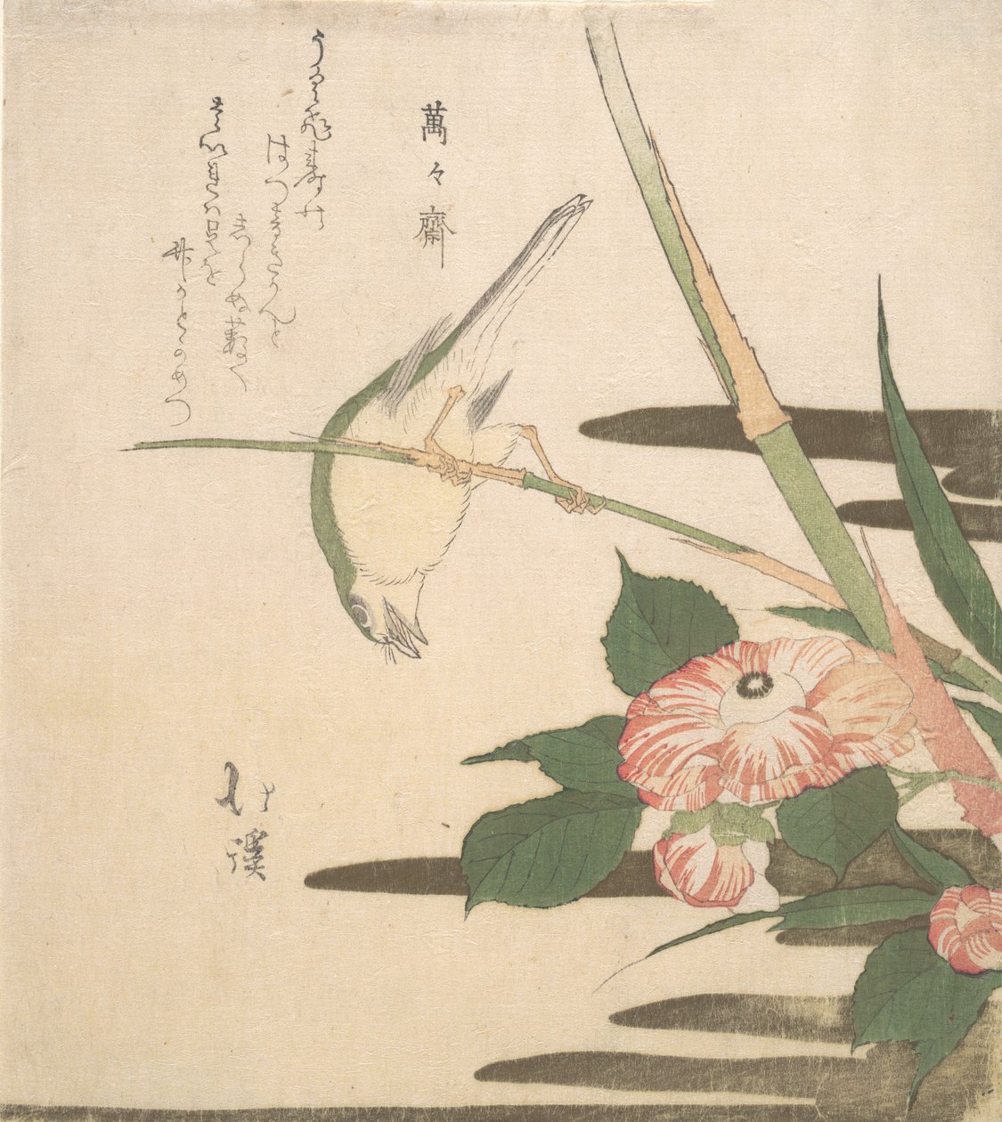 Warbler og Camellia, ca. 1815-20. av Totoya Hokkei