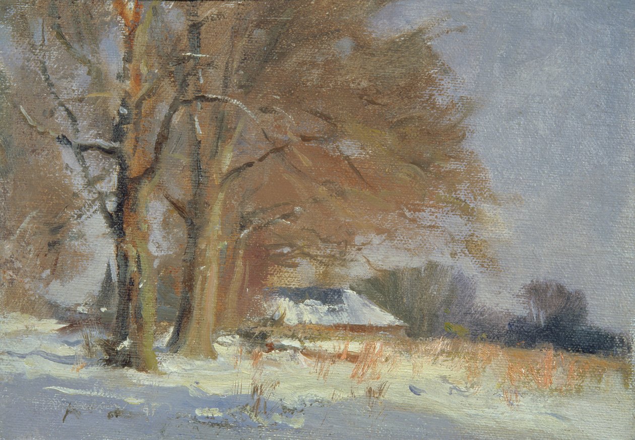 Lime i snøen av Trevor Chamberlain