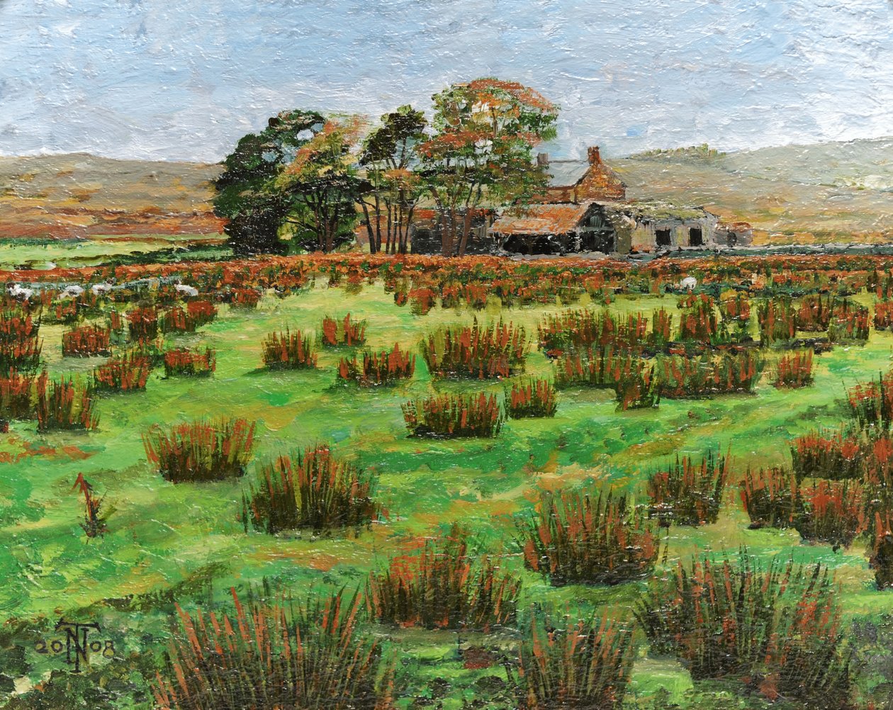 Farm Cumbria, 2008 av Trevor Neal