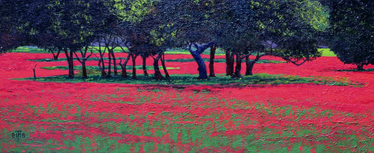 Red Shock, 1999 av Trevor Neal