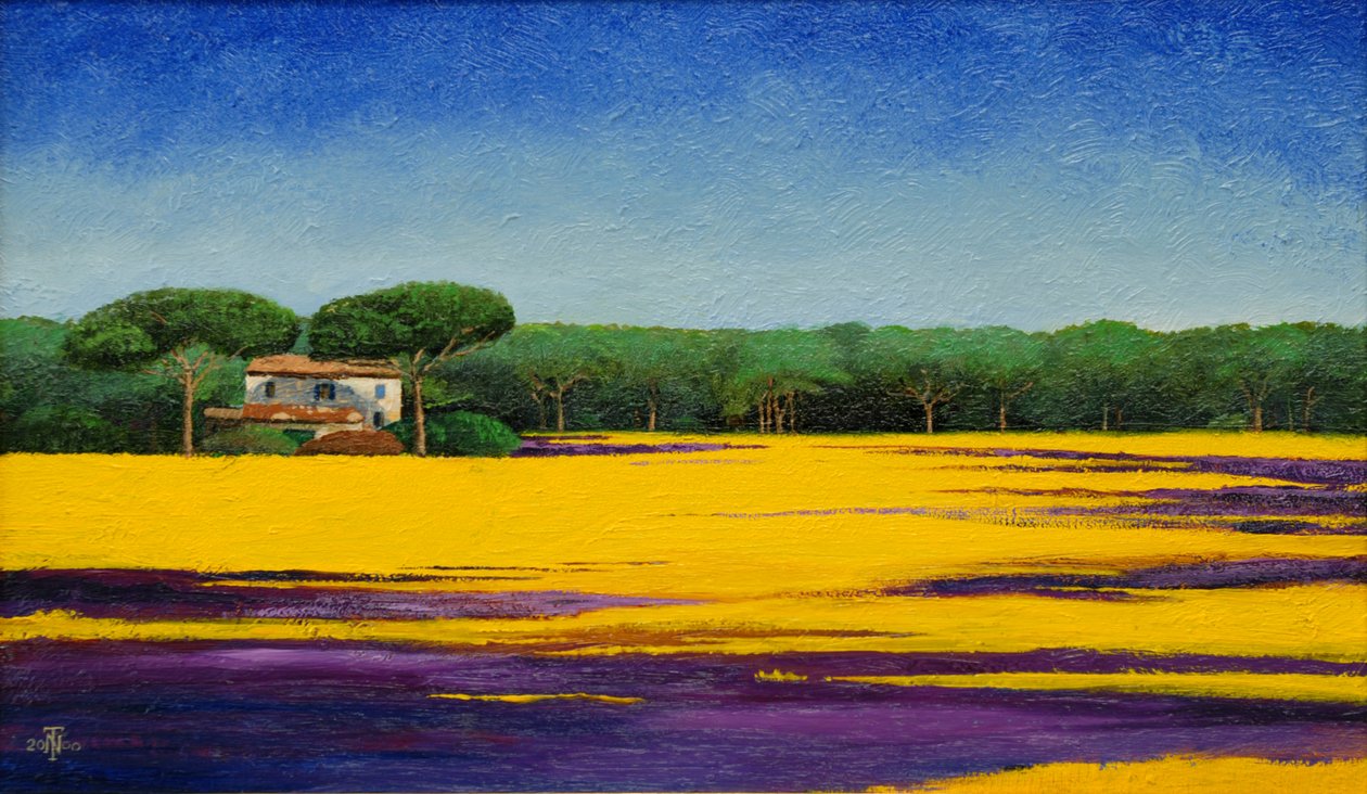 Toskansk landskap, 2010 av Trevor Neal