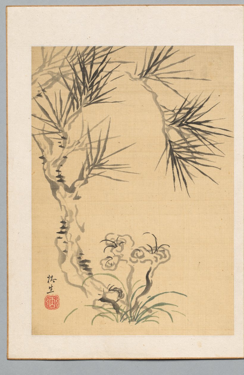 Furu og sopp av Tsubaki Chinzan