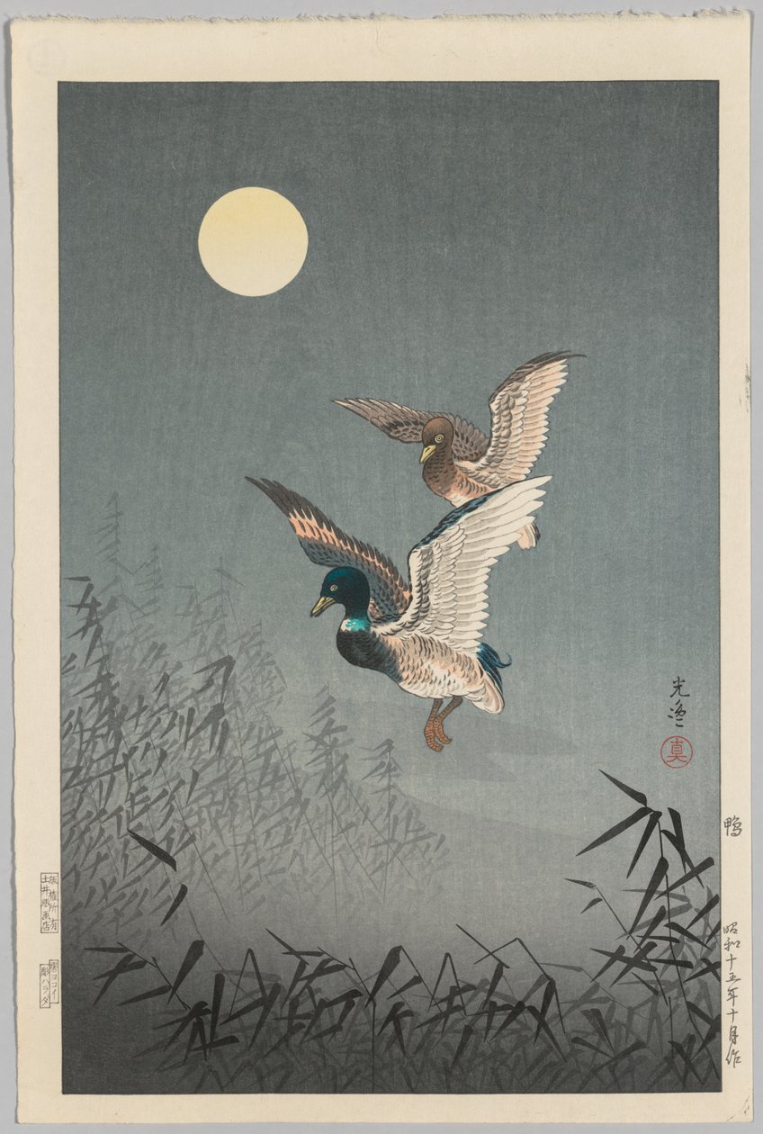 Tokyo Views: Ducks av Tsuchiya Kōitsu
