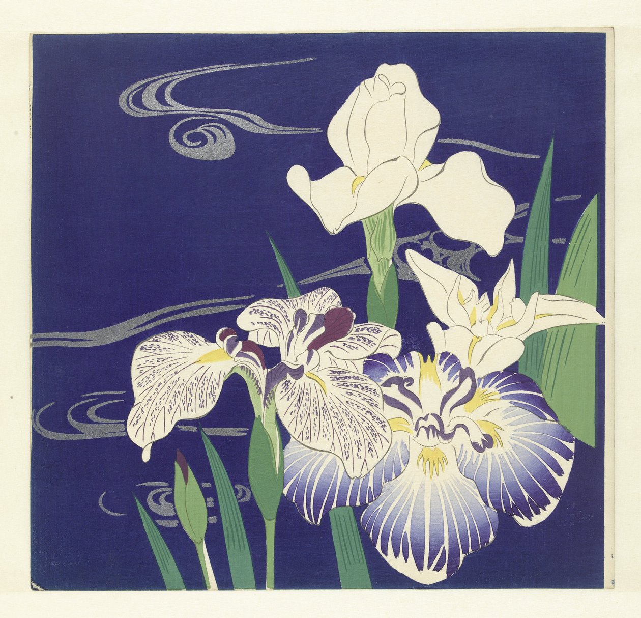Iriser, 1890-1900 (treblokktrykk) av Tsukioka Kogyo