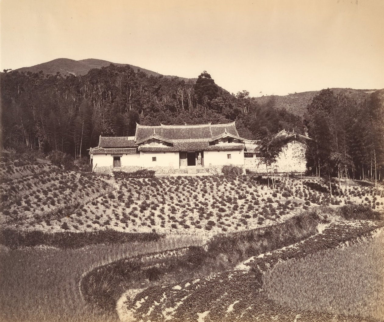 Teafield & Josshouse i Peling, ca. 1869. av Tung Hing.