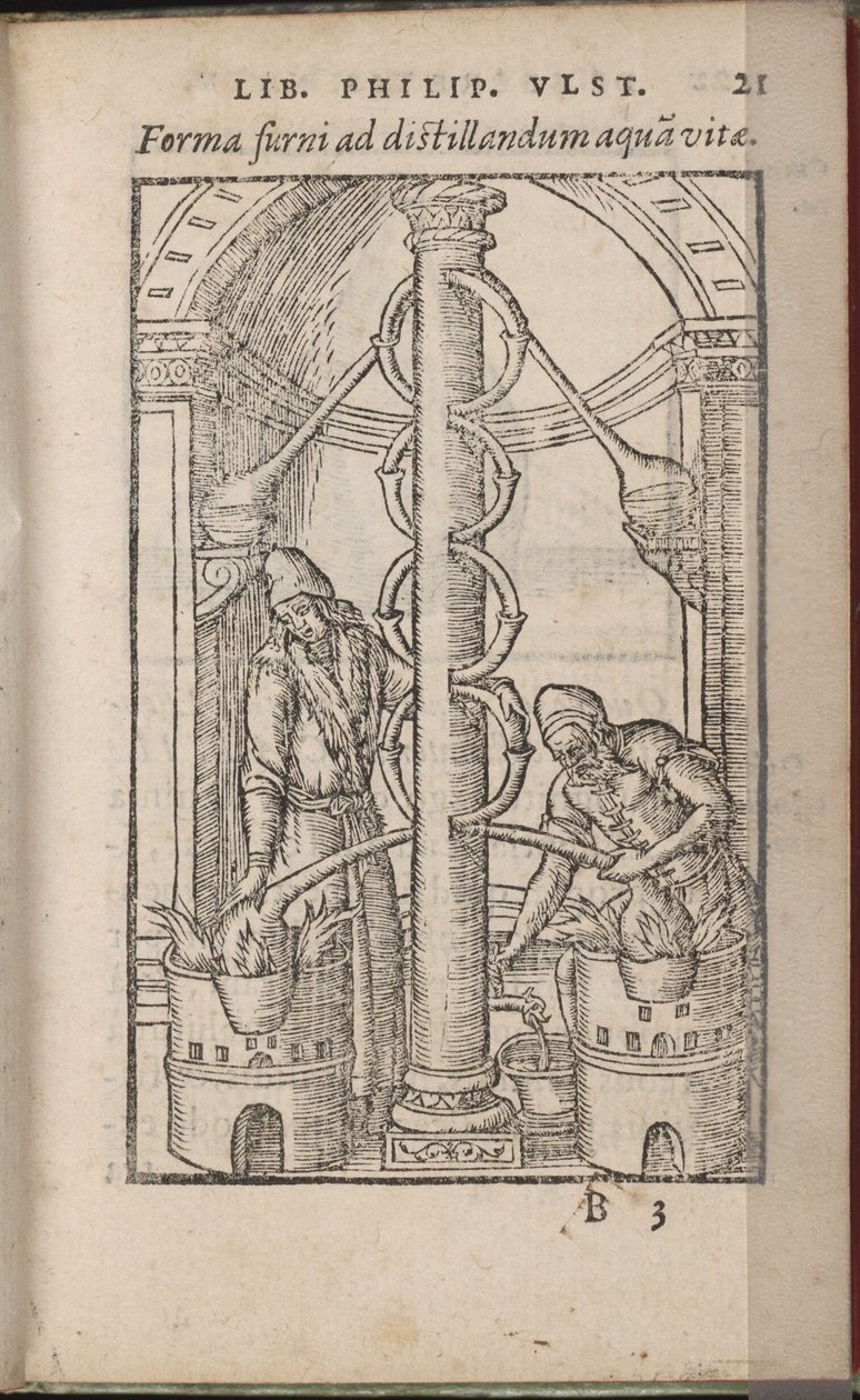 Alkymisk apparat fra: The Book of the Secrets of Nature, 1556-1557 av Ulstadius