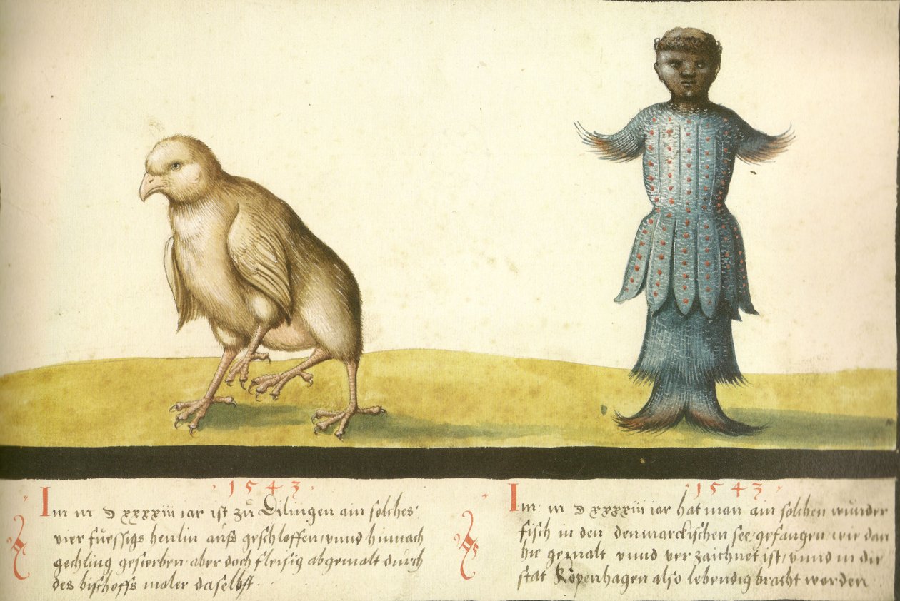 Folio 145 - Fantastisk kylling og vidunderlig fisk 1543 av Unbekannt Unbekannt