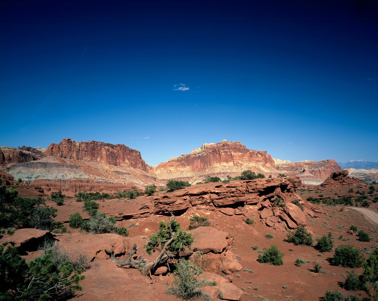 Capitol Dome and Chimney Rock, Capitol Reef National Park, Utah av Unbekannt Unbekannt