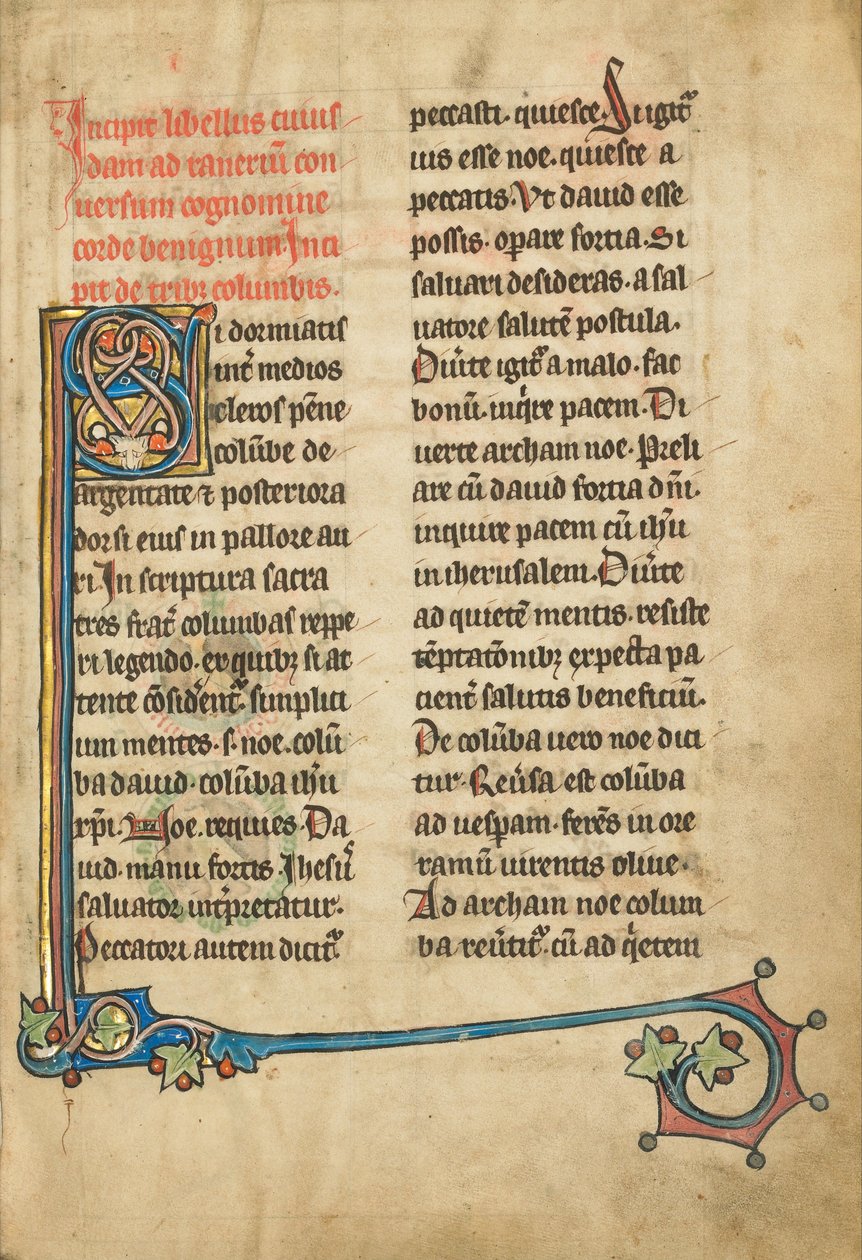 Decorated Initial S (6902258) av Unbekannt Unbekannt