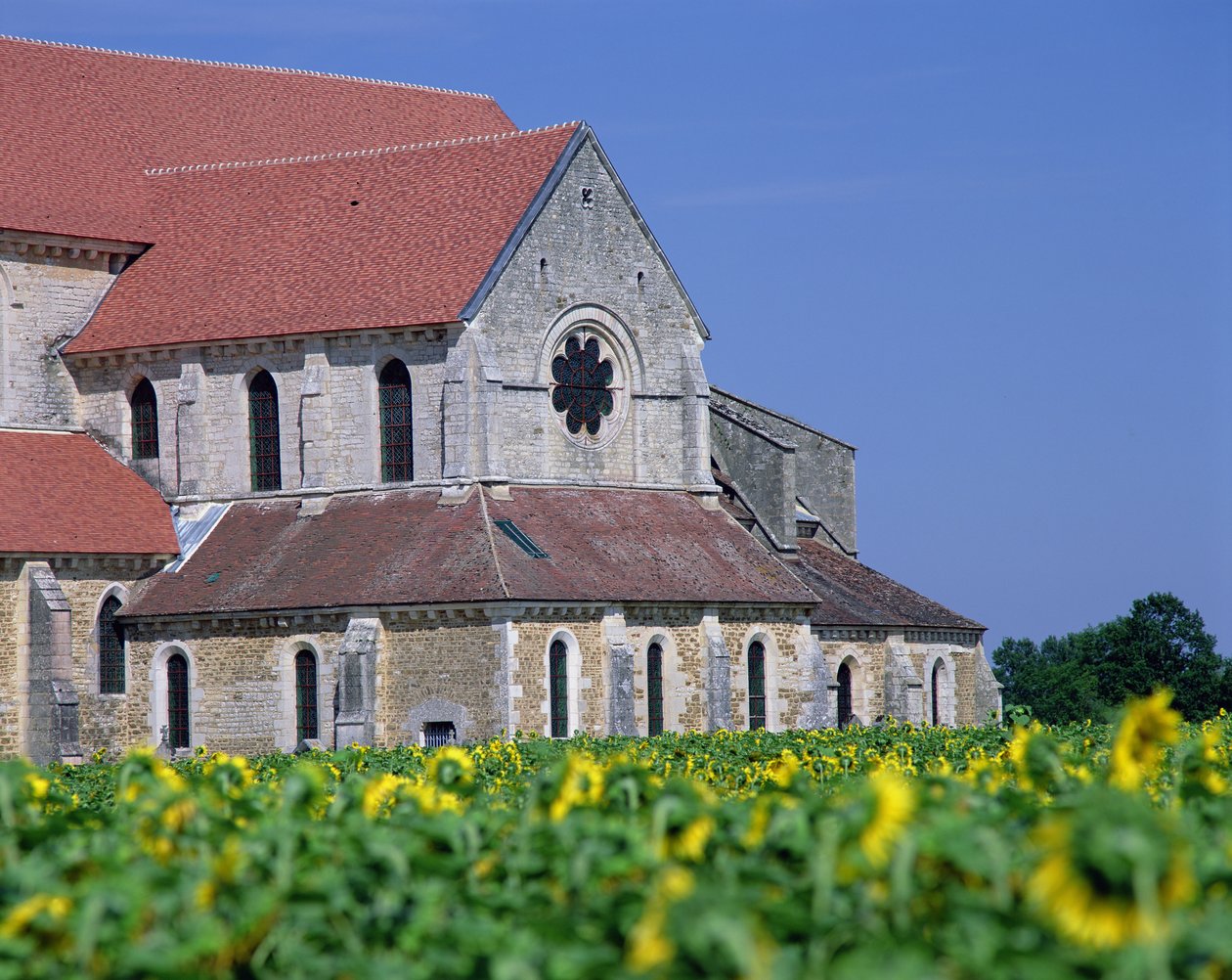 Pontigny Abbey av Unbekannt Unbekannt