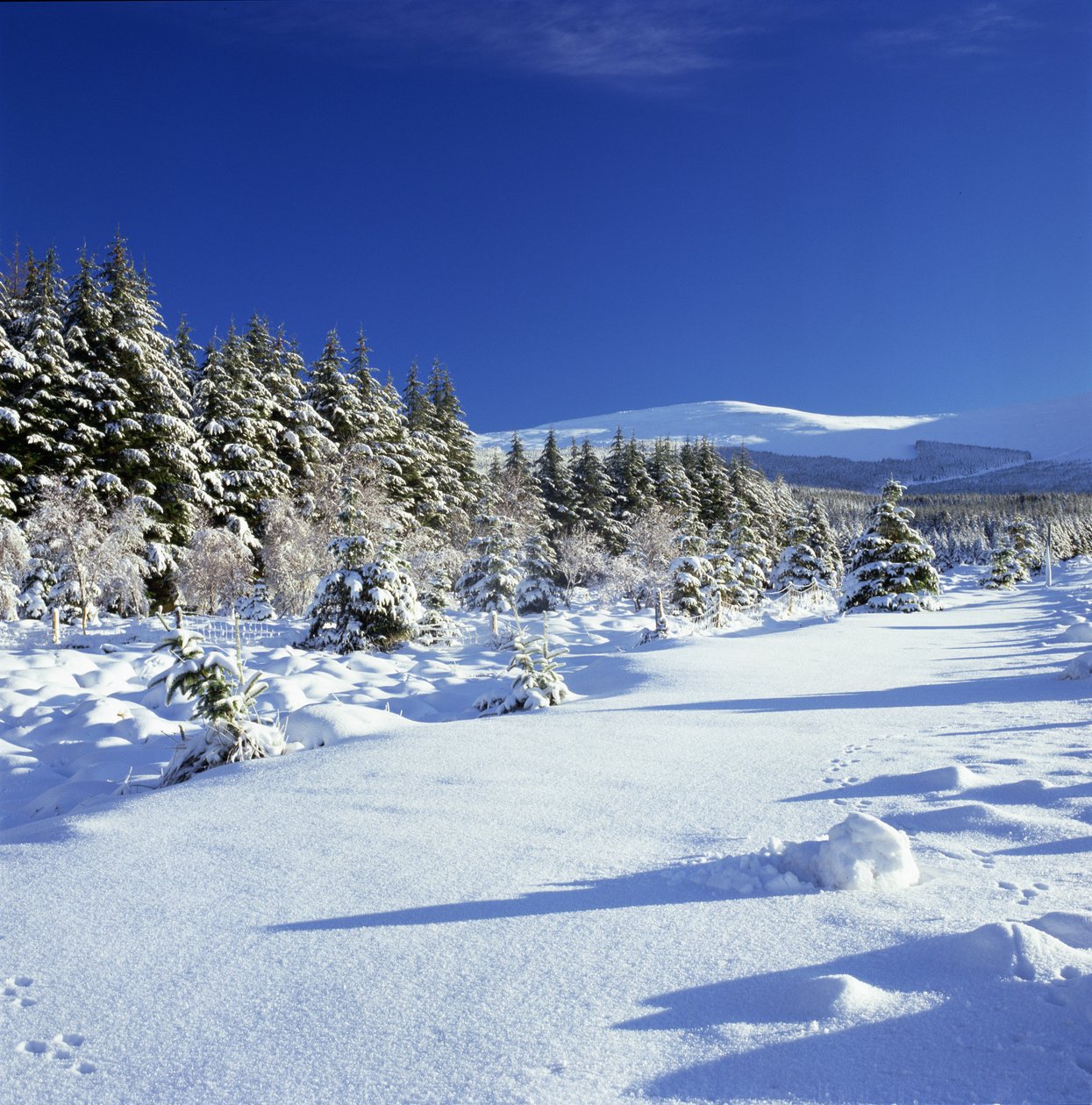 Wicklow-fjellene om vinteren av Unbekannt Unbekannt
