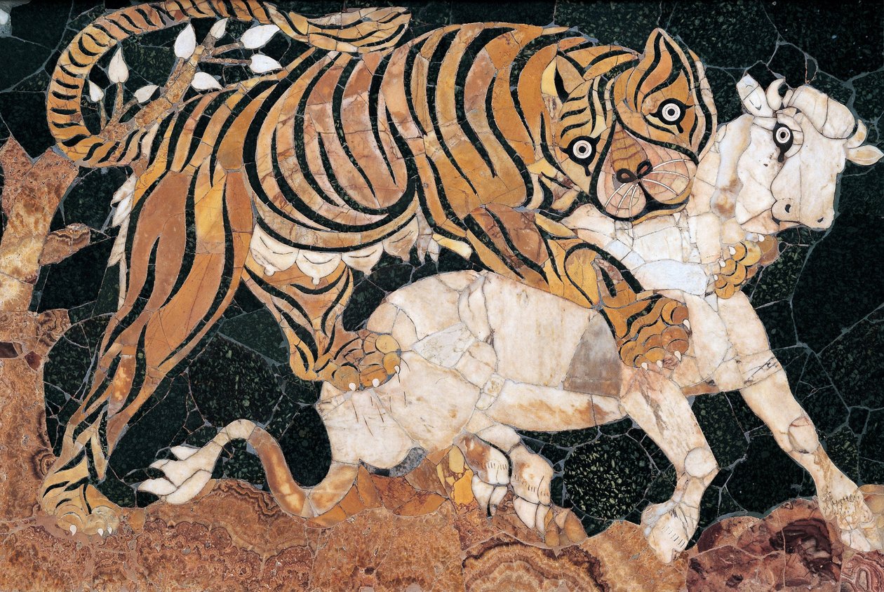 Tiger angriper en kalv av Unbekannt Unbekannt