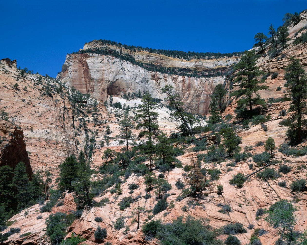 Zion nasjonalpark, Utah av Unbekannt Unbekannt