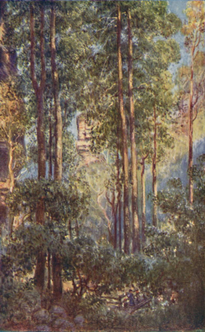 En Bush Valley i New South Wales, 1923. av Unbekannt