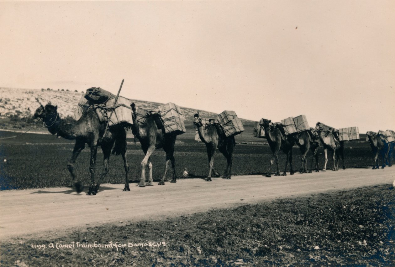 Et kameltog på vei til Damaskus, 1936 av Unbekannt