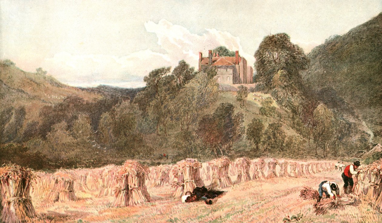 En kornåker, ca 1840-tallet, ca 1900. av Unbekannt