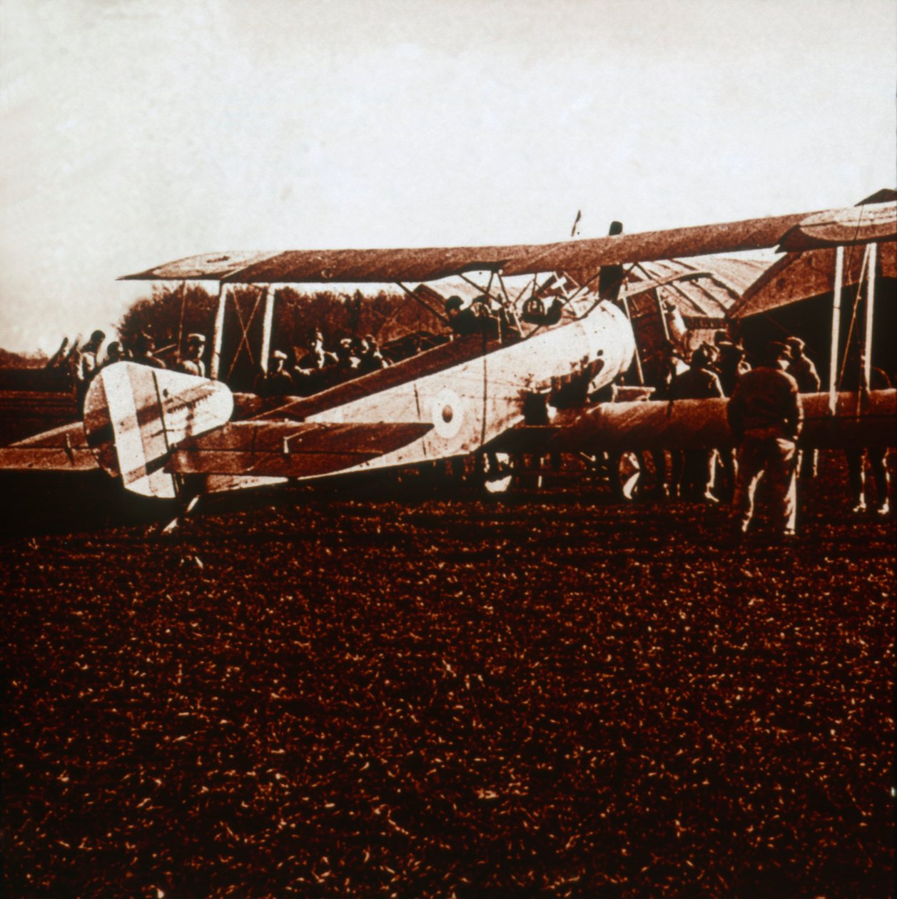 A Sopwith Camel, c1917-c1918 av Unbekannt