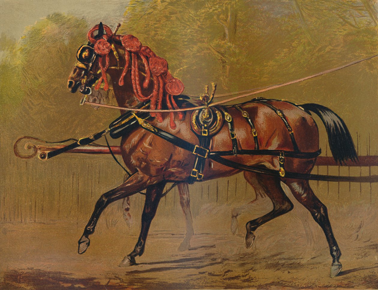 En statlig vognhest, c1879. av Unbekannt