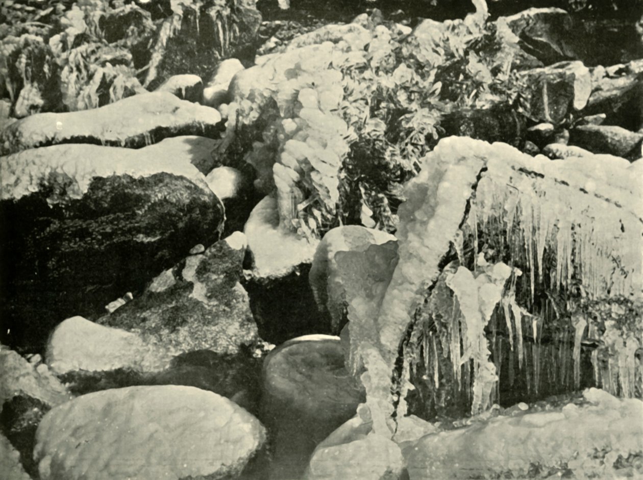 En vinterscene i New England, 1901. av Unbekannt