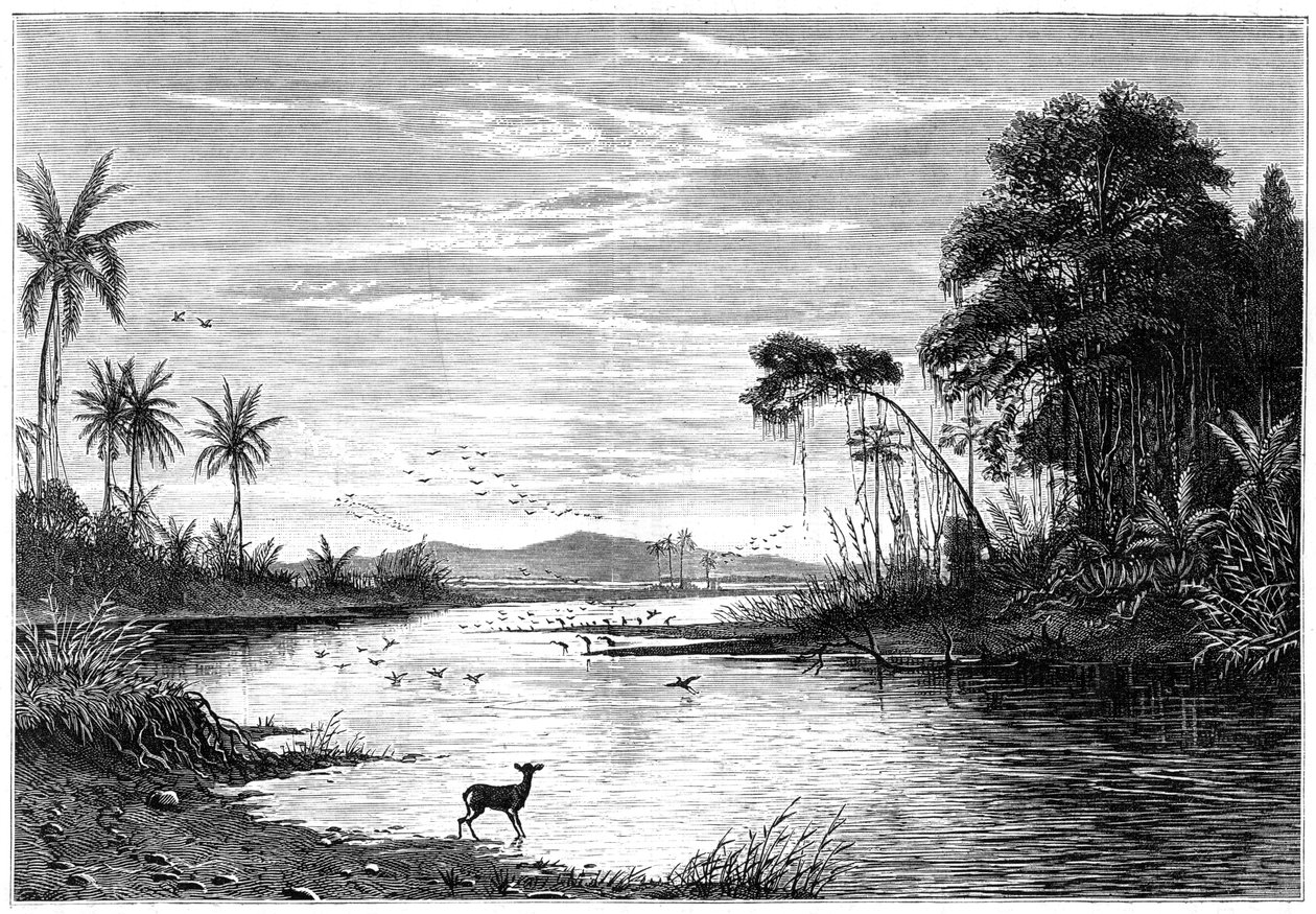 En elvescene i Venezuela, 1877 av Unbekannt