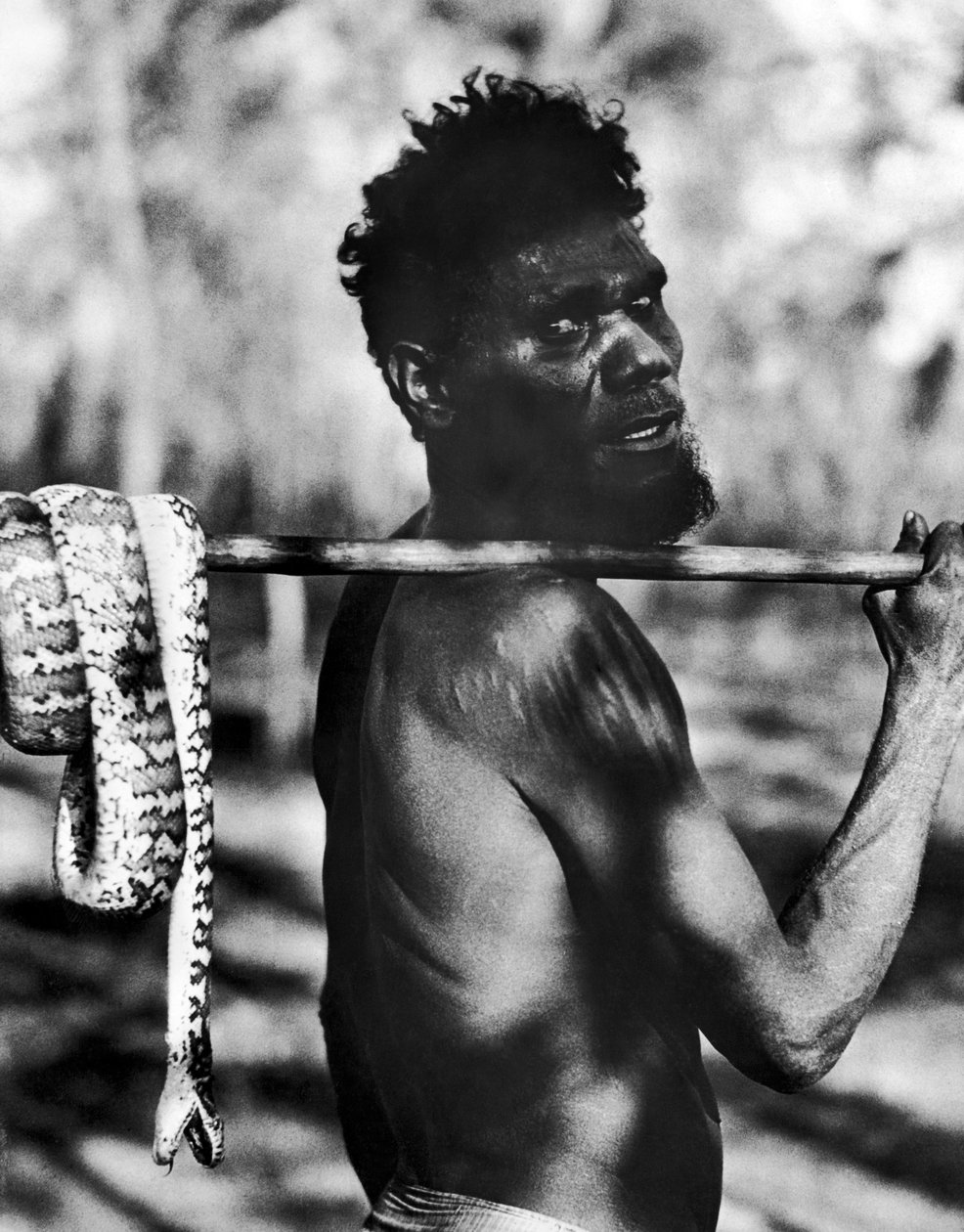 Aborigine With Snake (s/hvitt bilde) av Unbekannt