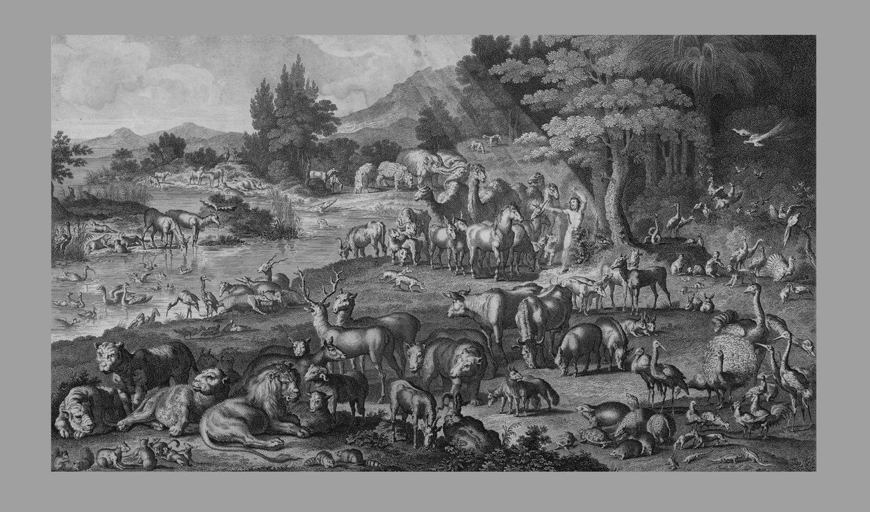 Adam navngav skapelsen, 1818. av Unbekannt