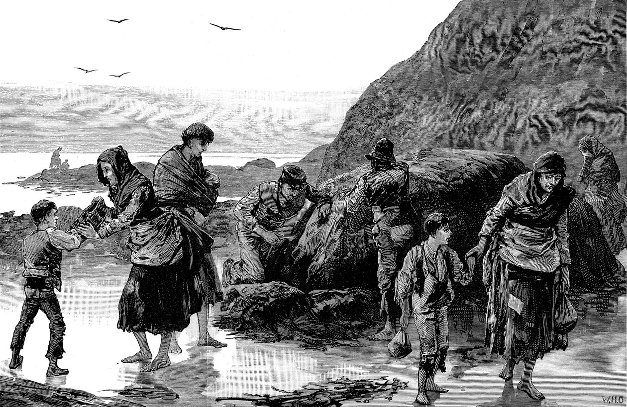 Etterdønninger av hungersnød, Irland 1840-tallet, 1886 av Unbekannt