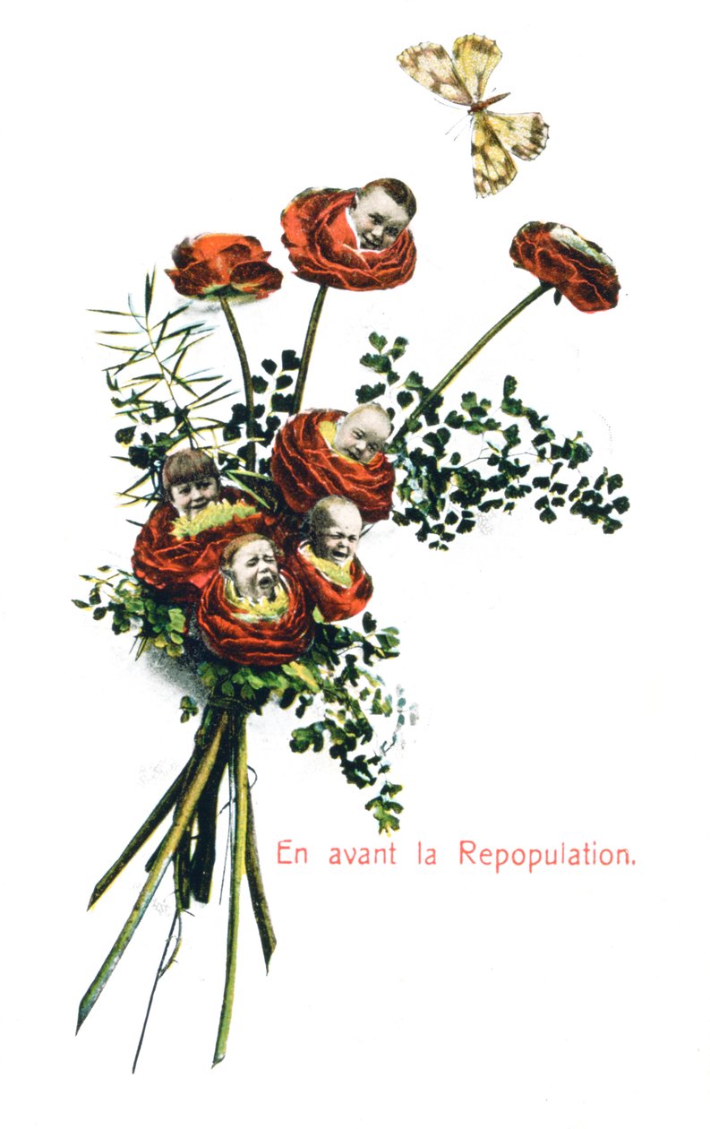Ahead Repopulation, fransk postkort, c1900 av Unbekannt