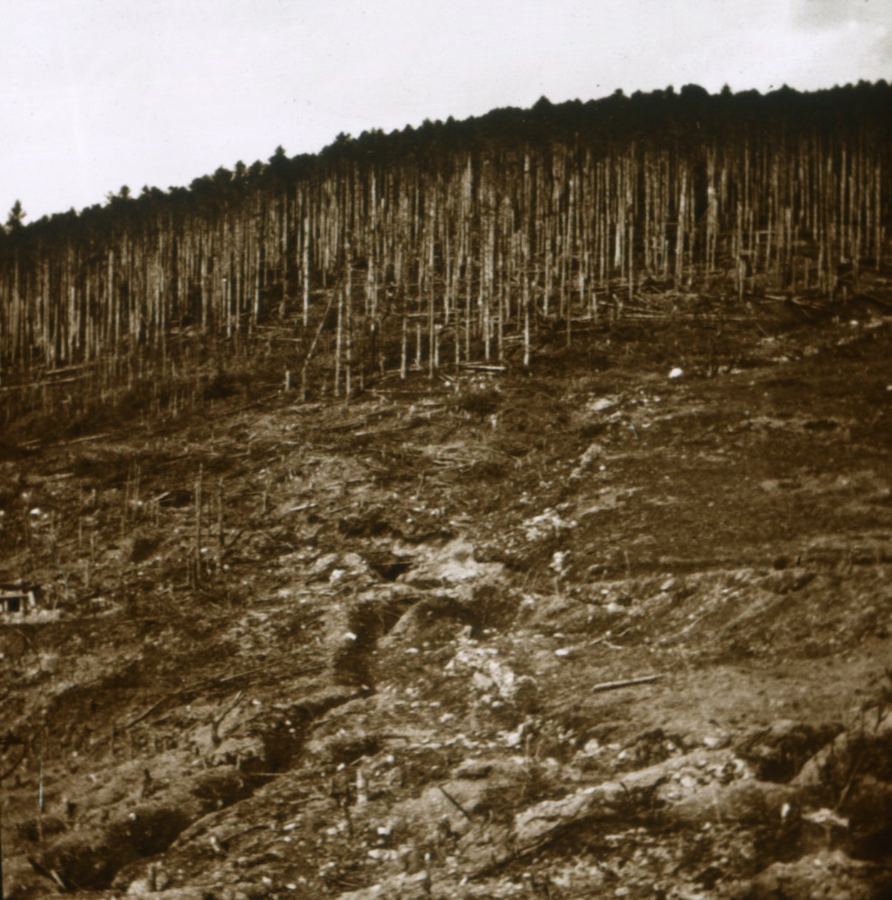 Alsace, c1914-c1918 av Unbekannt