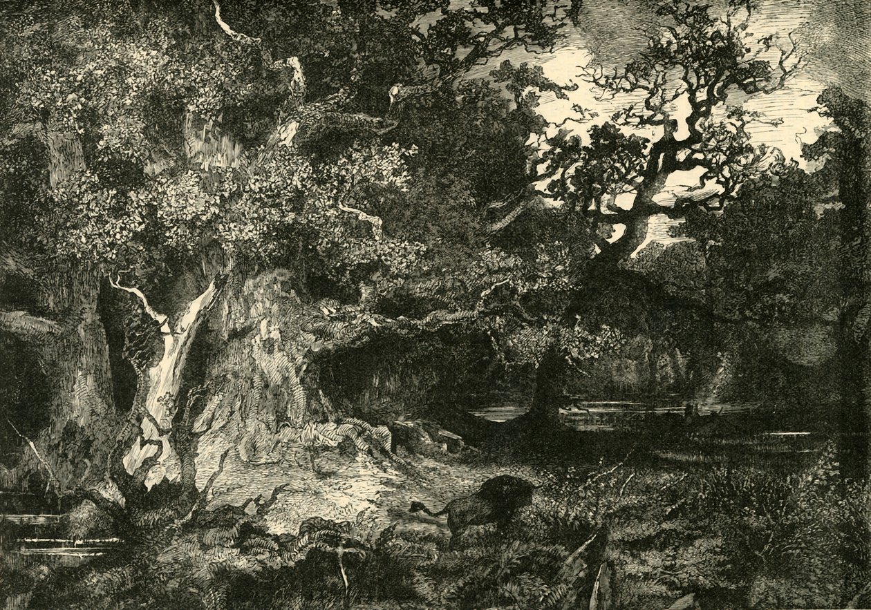 En gammel tysk skog, 1890. av Unbekannt
