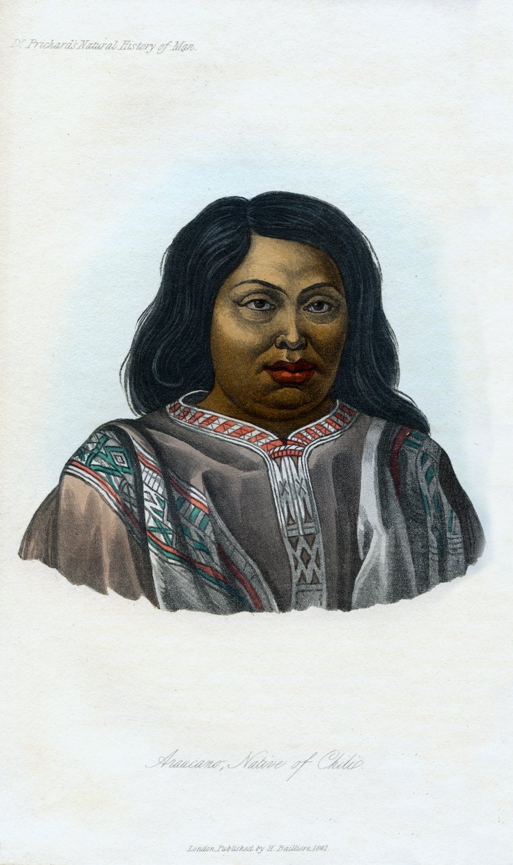 Araucano, innfødt av Chili, 1848 av Unbekannt