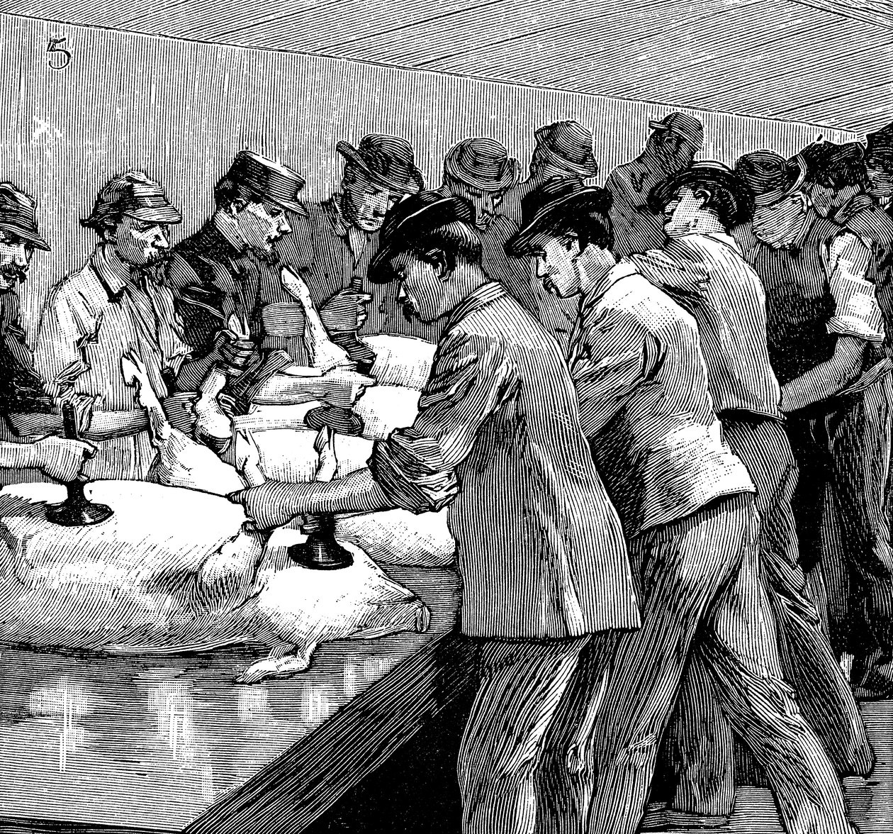 Armour Companys griseslakteri, Chicago, Illinois, USA, 1892 av Unbekannt