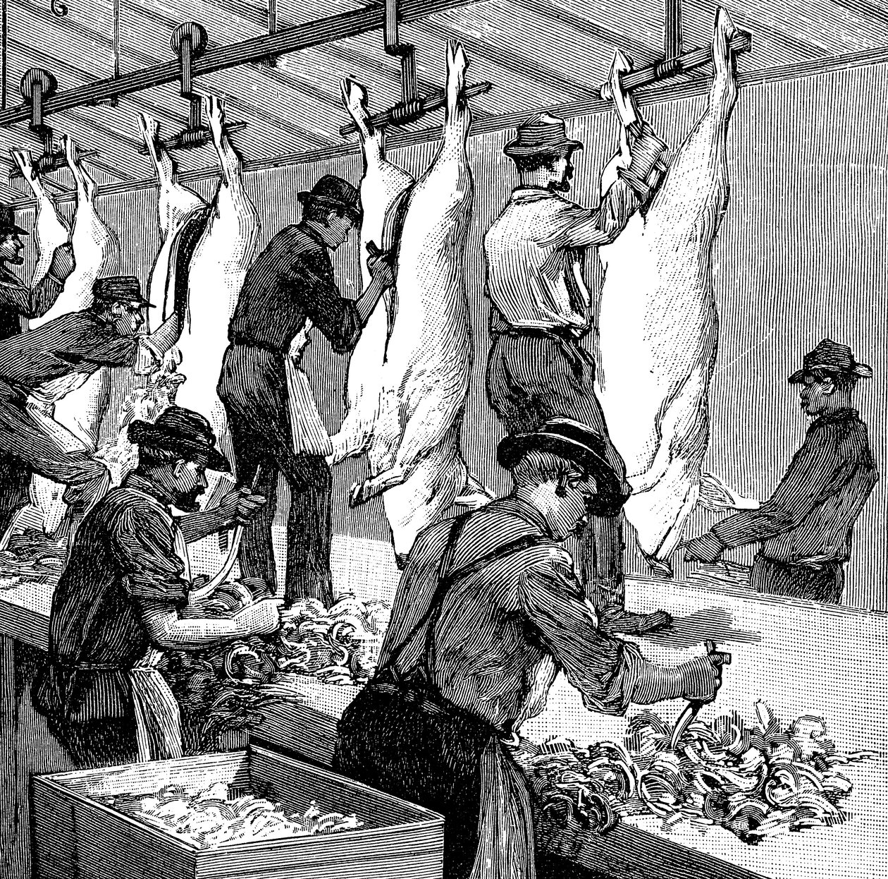 Armour Companys griseslakteri, Chicago, Illinois, USA, 1892 av Unbekannt