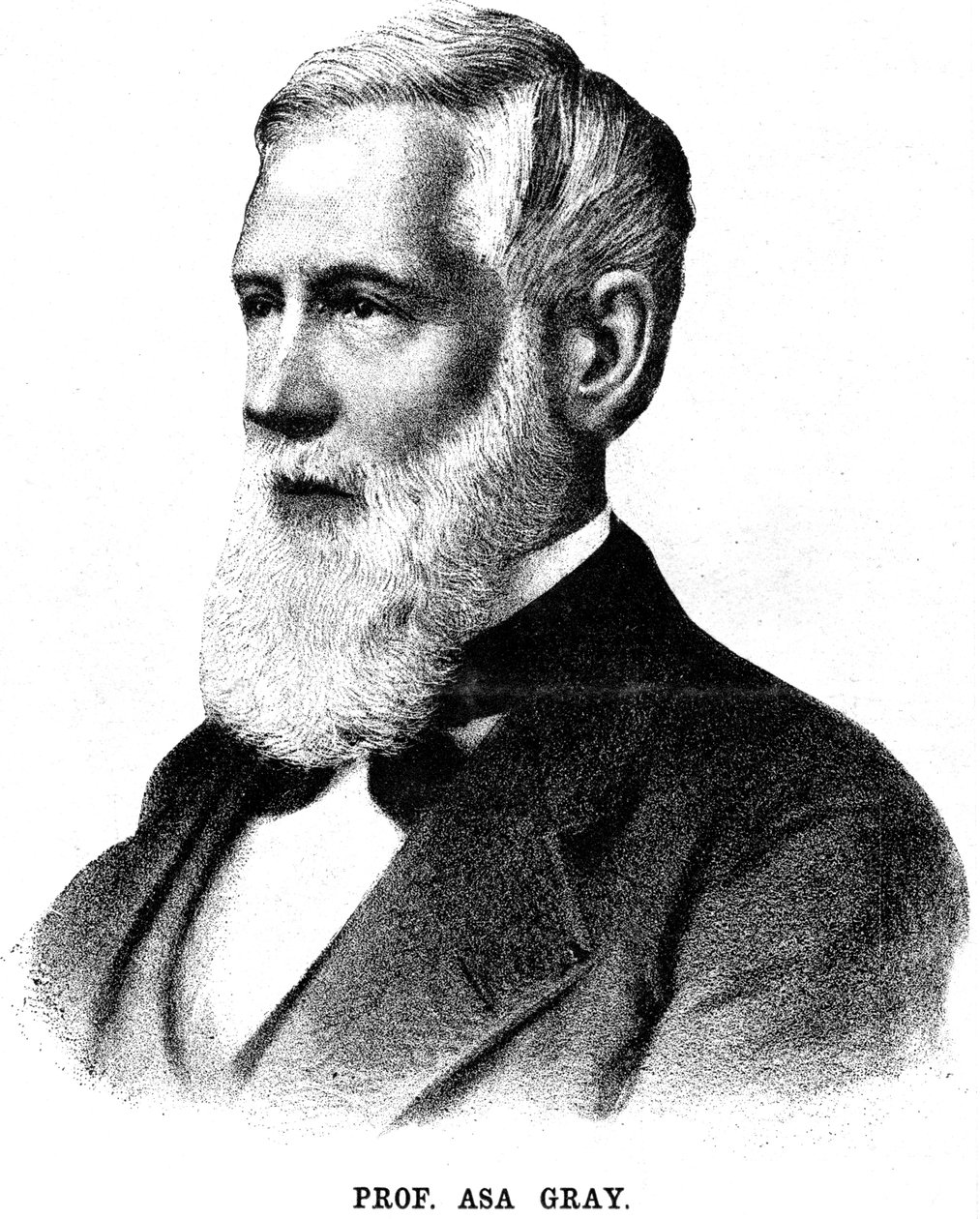 Asa Gray , amerikansk botaniker, 1888 av Unbekannt