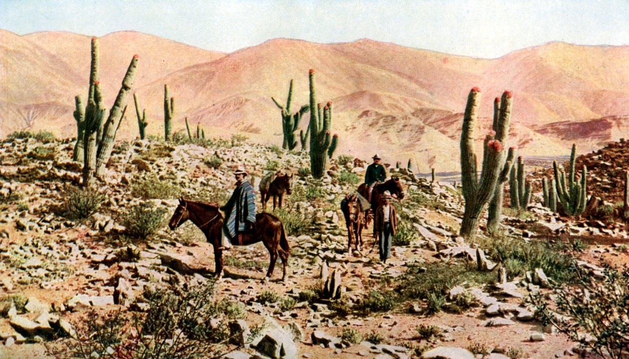 Atacama-ørkenen, Nord-Chile, Sør-Amerika, c1923 av Unbekannt