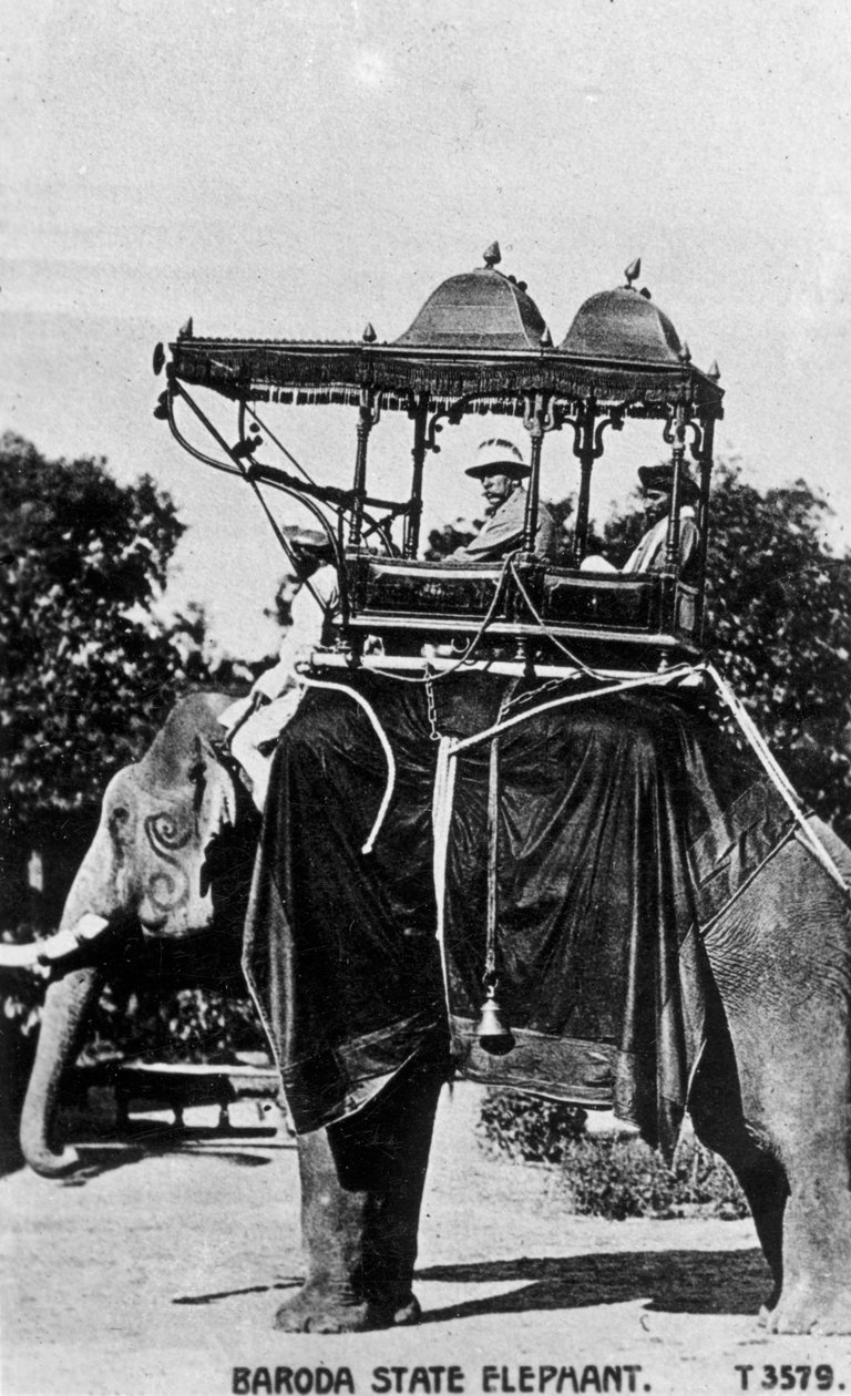 Baroda statselefant, India, 1900-tallet av Unbekannt