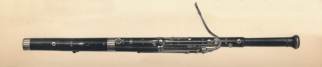 Fagott, 1895. av Unbekannt