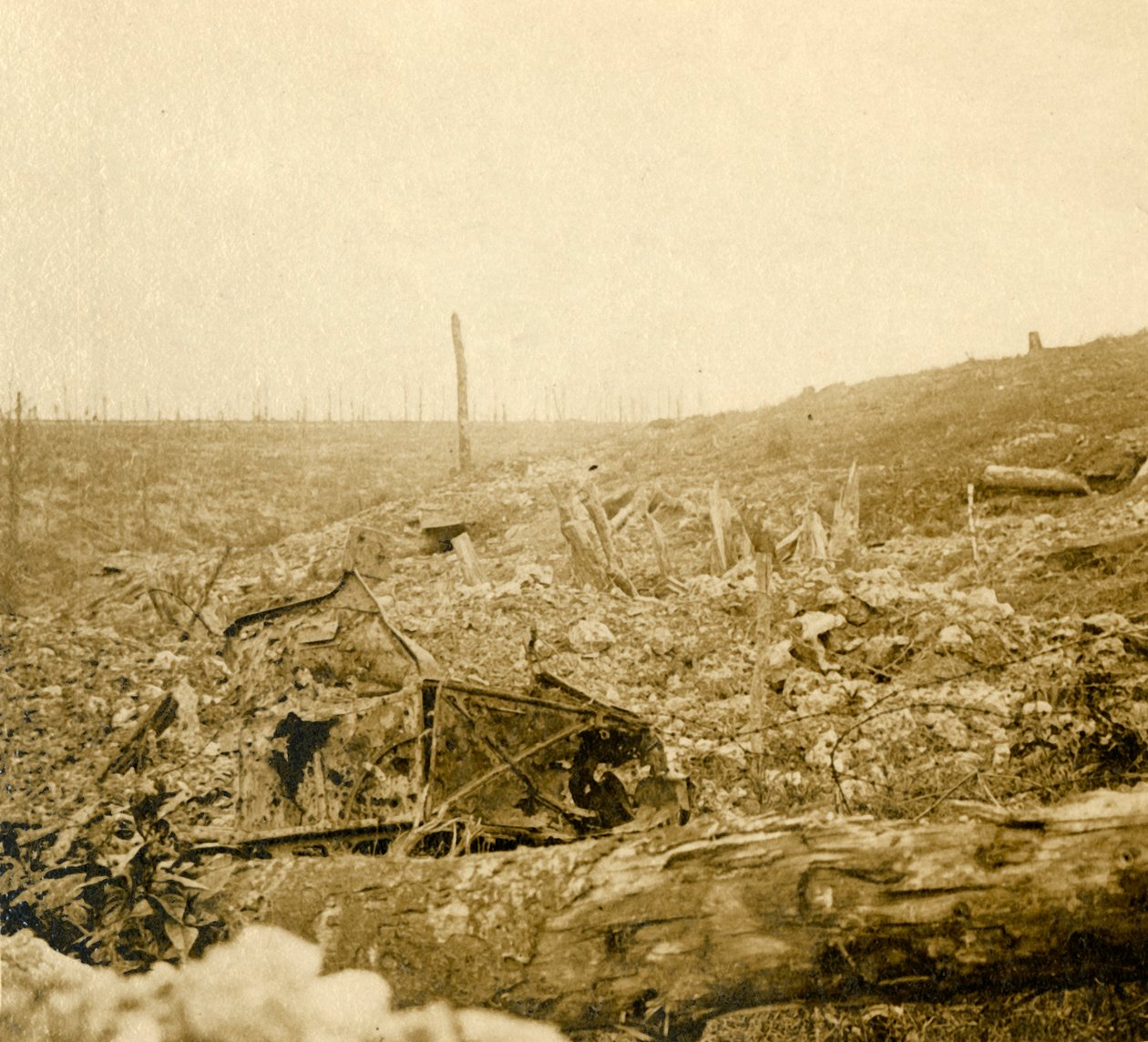 Battlefield, Bezonvaux, Verdun, Nord-Frankrike, c1914-c1918 av Unbekannt