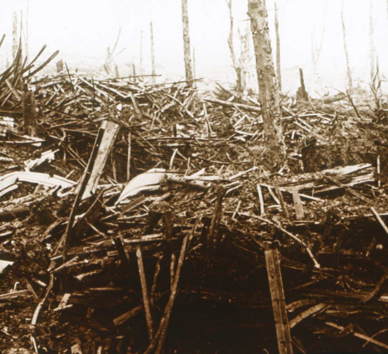 Battlefield, c1914-c1918 av Unbekannt