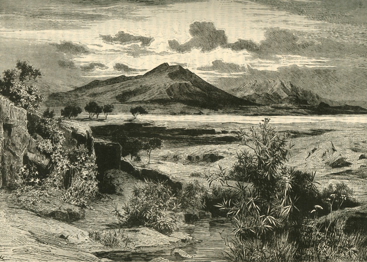 Battlefield of Plataea, 1890. av Unbekannt