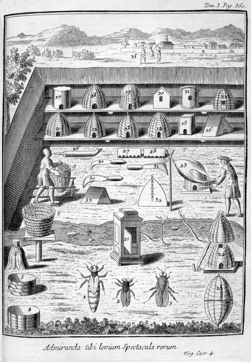 Birøkter, 1775 av Unbekannt