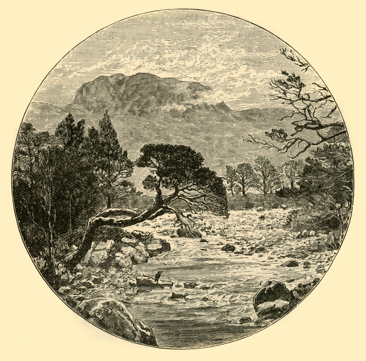 Ben Slioch, 1898. av Unbekannt