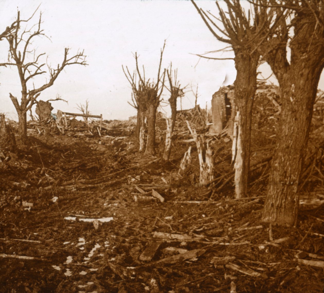 Utsprengt landskap, Belloy-en-Santerre, Nord-Frankrike, c1914-c1918 av Unbekannt