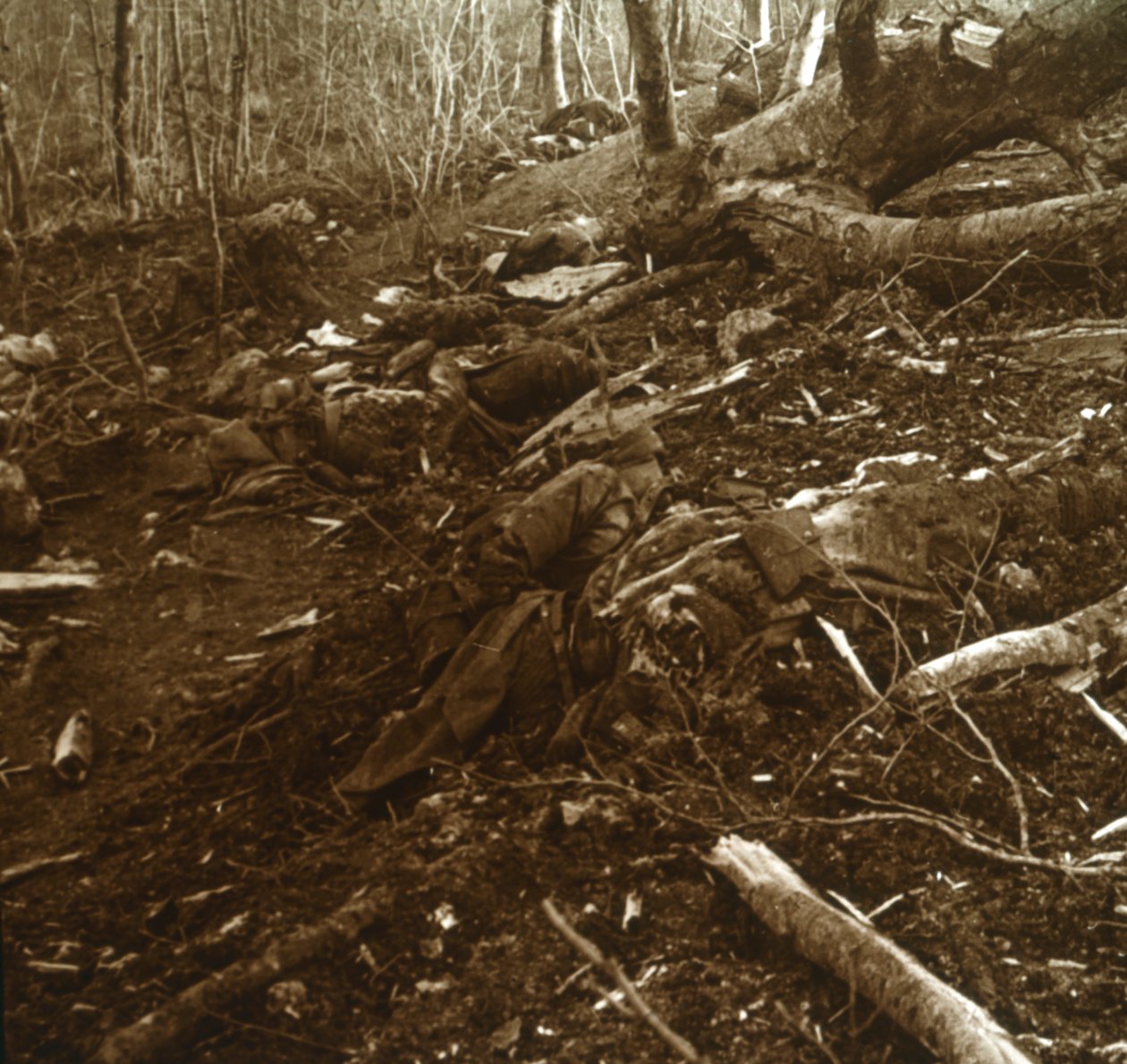 Bodies, Les Éparges, Nord-Frankrike, 1915. av Unbekannt
